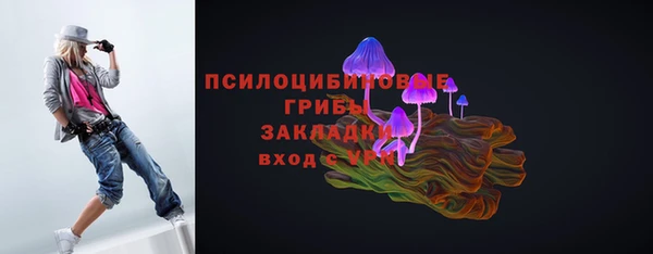 a pvp Богородицк