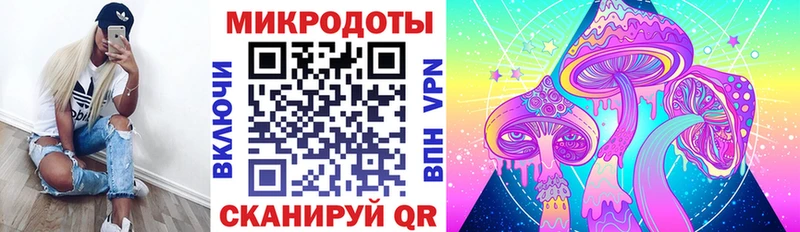 Псилоцибиновые грибы Cubensis  купить   Вяземский 